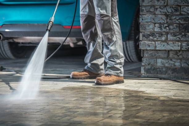 Best Dumpster Area Cleaning  in Ferris, TX