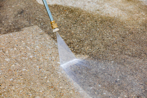 Best Animal Enclosure Cleaning  in Ferris, TX